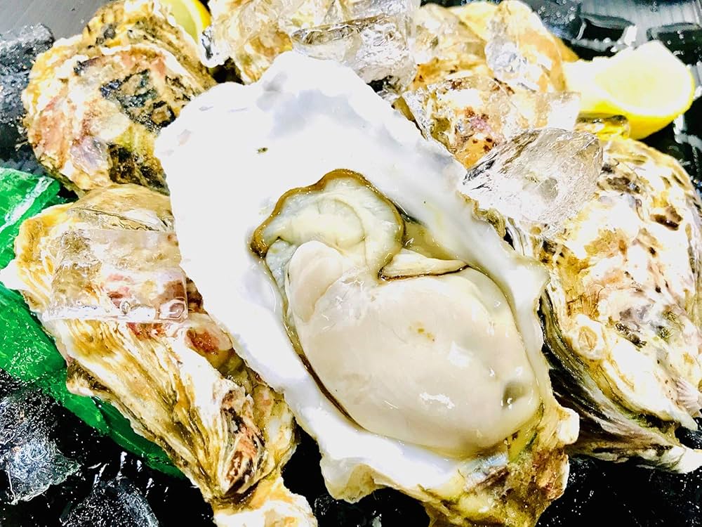 生牡蠣_mania 81+HYFKuZsL._UF1000,1000_QL80_.jpg